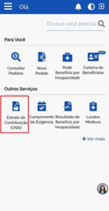 Imagem do local onde se encontra o extrato de contribuição do INSS.