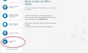 Imagem mostrando onde atualizar os dados do sistema do INSS
