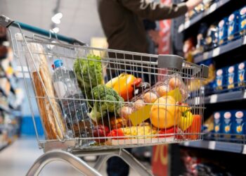 O Cartão Alimentação é uma iniciativa distinta do Programa Prato Cheio. Imagem: Freepik